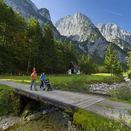 Pensionat Alpengasthaus Griesner Alm Kirchdorf in Tirol