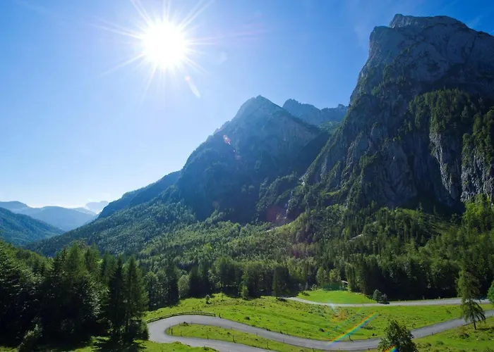 Alpengasthaus Griesner Alm Kirchdorf in Tirol