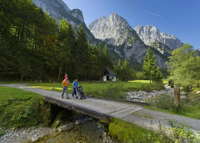 Affittacamere Alpengasthaus Griesner Alm Kirchdorf in Tirol
